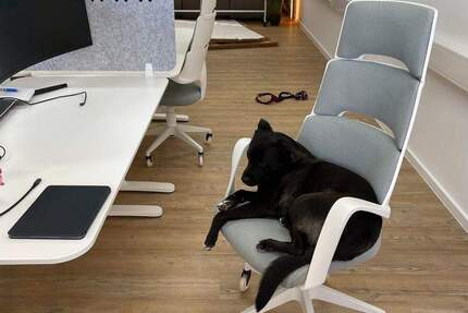 Gewerbeobjekt Garching bei München Hochbrück - 200&euro; | Angebot:25784138