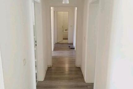 Wohnung (WG oder Firmen) 5 zimmer