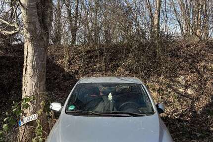 VW Fox 400.000 km 260 &euro; Forstinning 85661