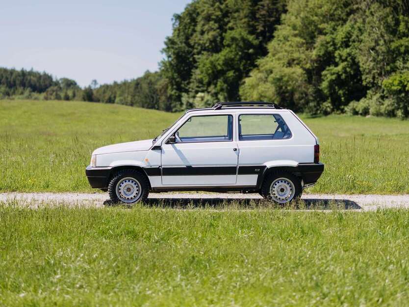Panda