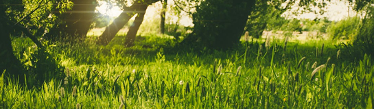 Natur und Ausflugsziele rund um München