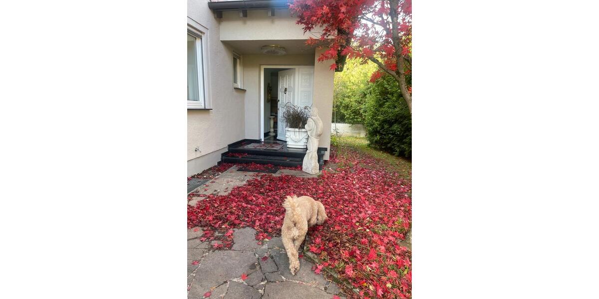 Loft - Studio - Atelier München Allach-Untermenzing - 1 Zimmer, 85 m&sup2;, 2.250&euro; | Angebot:27571407