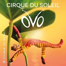 Cirque du Soleil - OVO 30.01.2027 Olympiahalle München