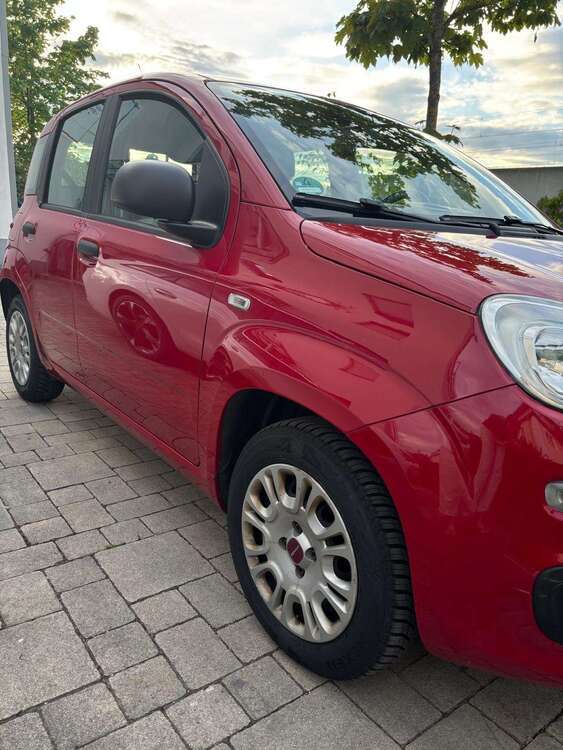 Panda