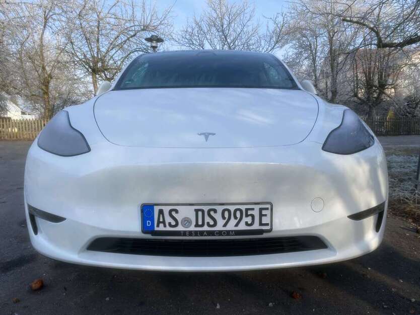 Model Y
