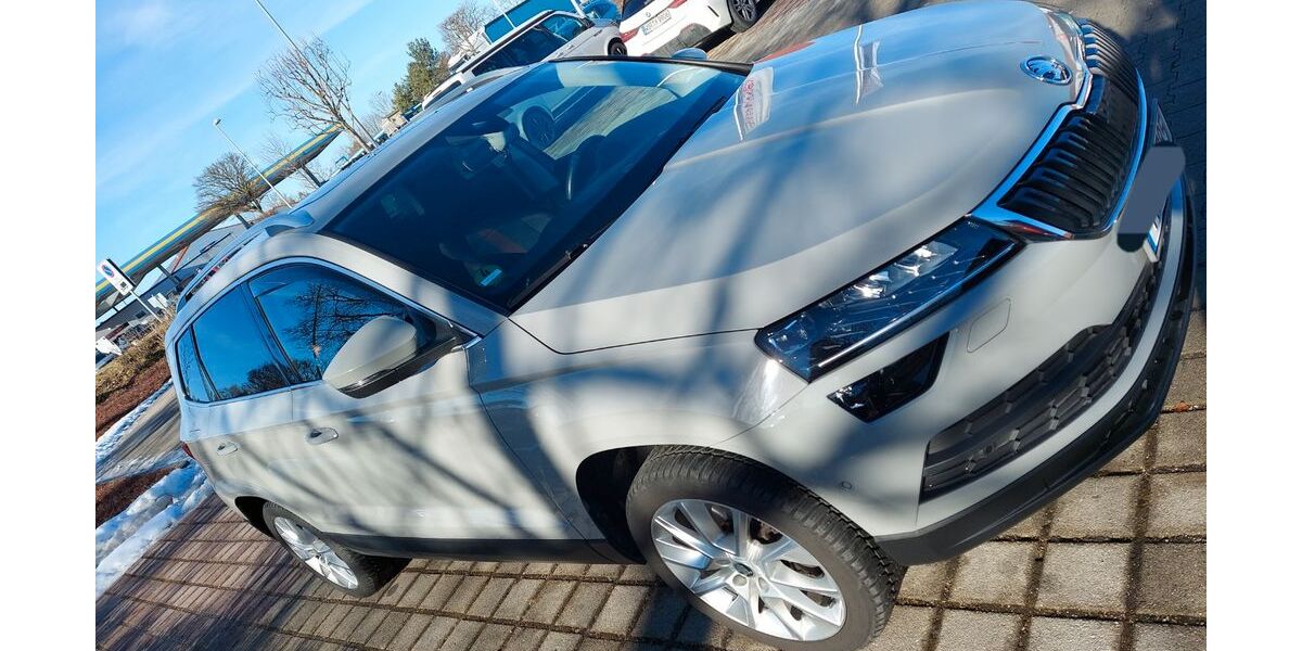 Skoda Karoq 133.000 km 17.999 &euro; Hohenbrunn 85662