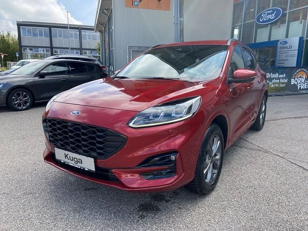 Kuga