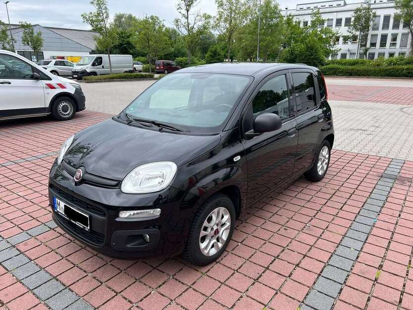 Panda