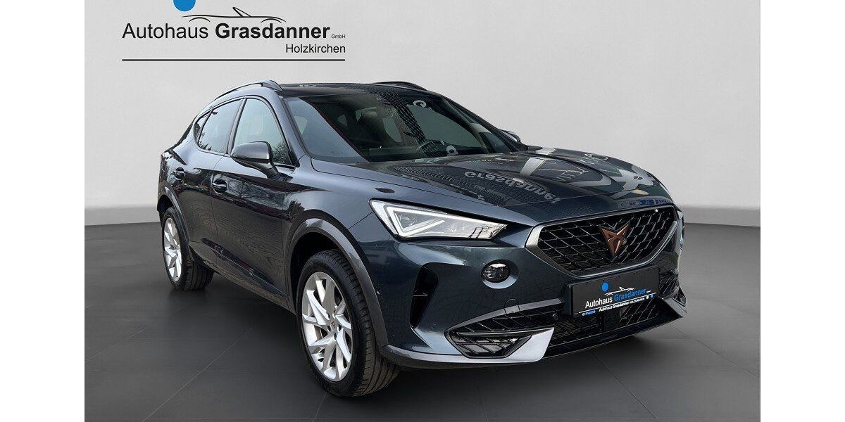 Cupra Formentor 29.535 km 28.900 &euro; Holzkirchen 83607