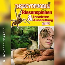 Insectophobie: Riesen Spinnen & Insekten 08.03.2026 Weitblick