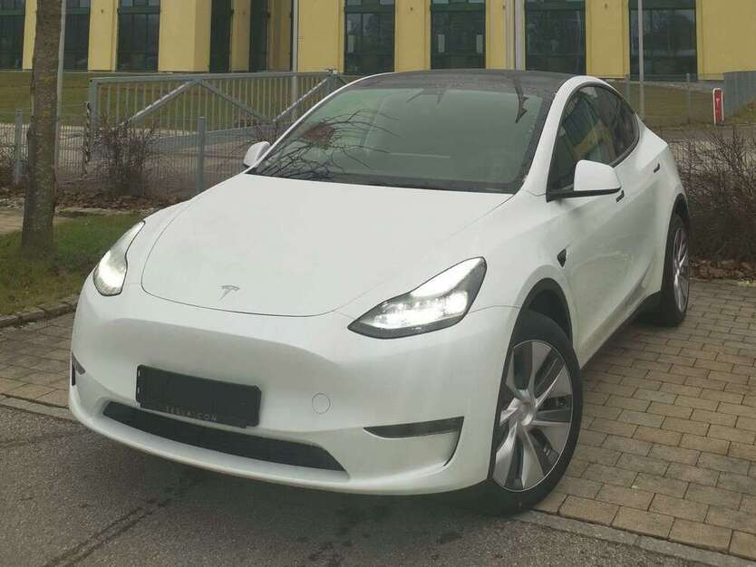 Model Y