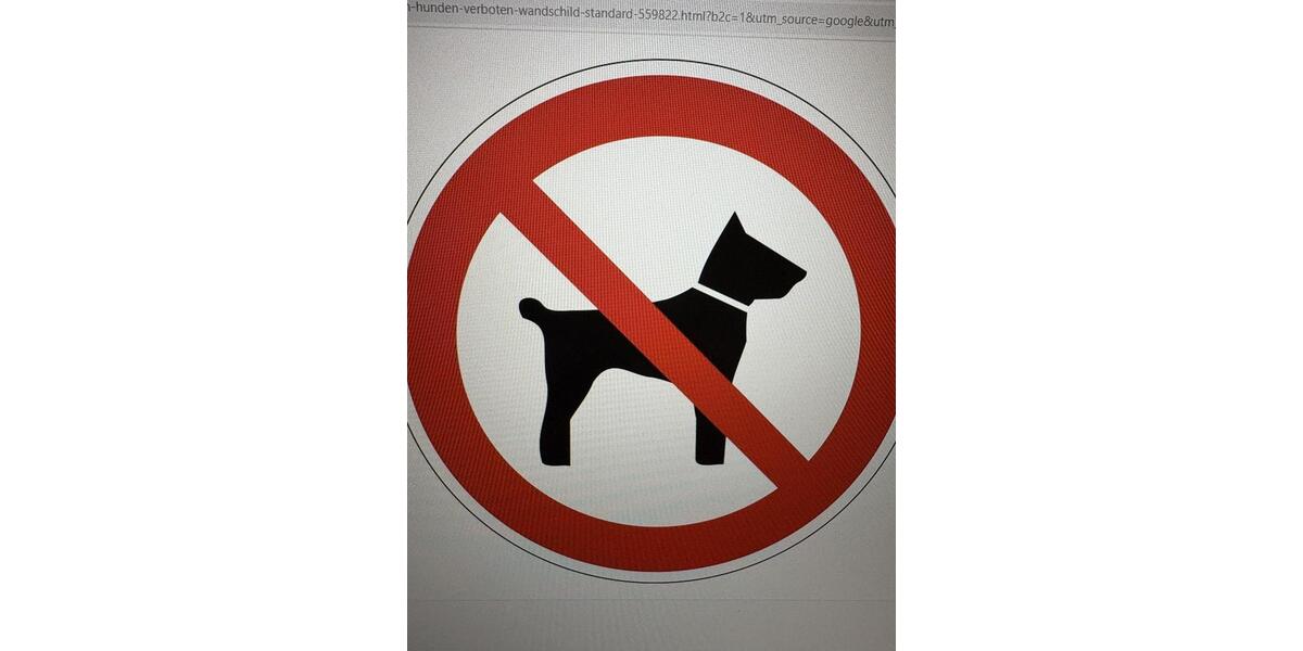 Dachgeschoßwohnung Gauting - 4 Zimmer, 116 m&sup2;, 1.790&euro; | Angebot:25655936