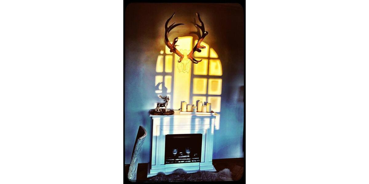 *TRAUMWOHNUNG* ZWISCHENMIETE - DIRKET AM ENGLISCHEN GARTEN 2 zimmer