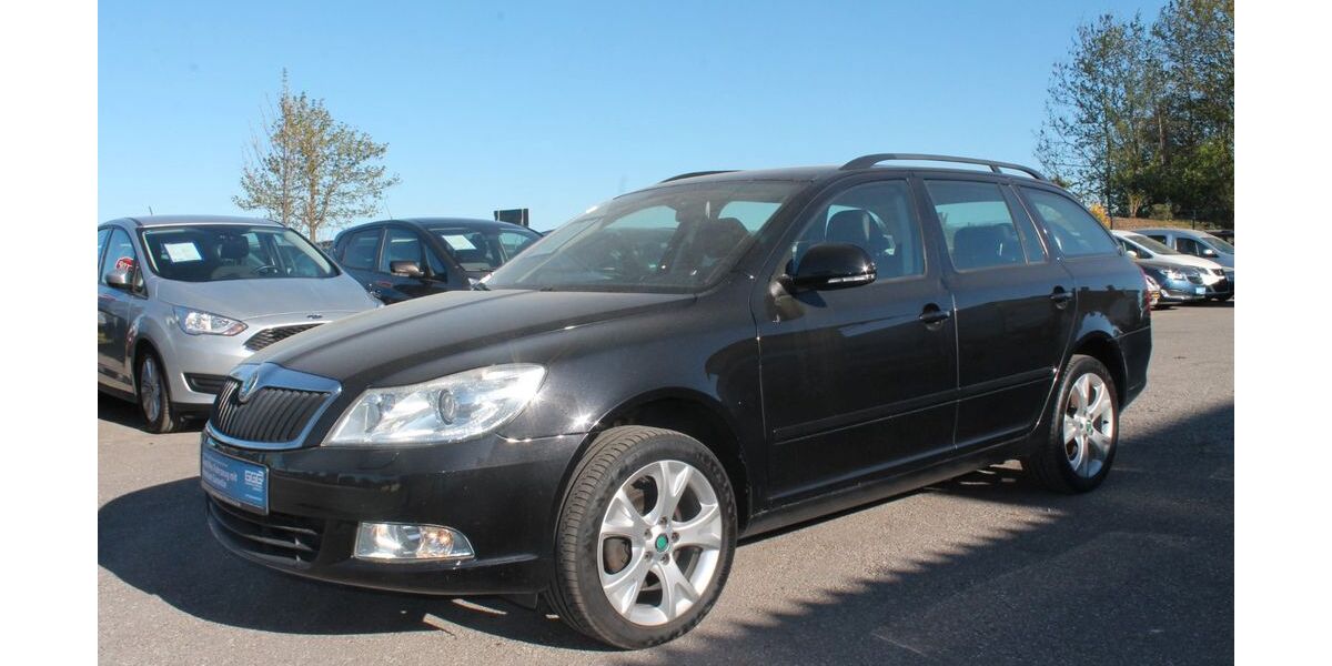 Skoda Octavia 176.000 km 6.990 &euro; Holzkirchen bei München 83607
