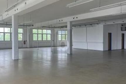 VIELSEITIGE NUTZUNG-PRODUKTIONLAGERHALLE 2.5 zimmer