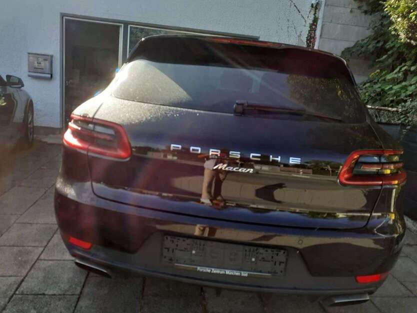 Macan