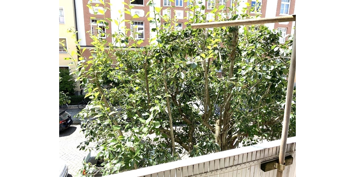 Möblierte 3-Zimmer-Wohnung mit Südwest-Loggia in top Lage Schwabing-West - Etagenwohnung München / Schwabing-West West | Angebot:27085708