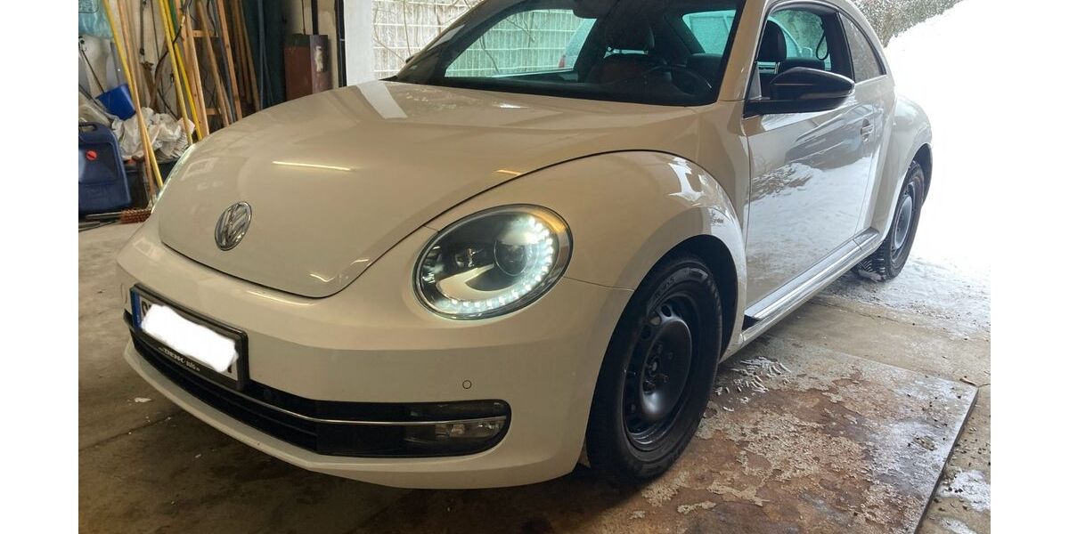 VW Beetle 80.450 km 10.100 &euro; Starnberg 82343