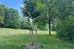 Etagenwohnung München Aubing-Lochhausen-Langwied - 1 Zimmer, 26 m&sup2;, 750&euro; | Angebot:26414798
