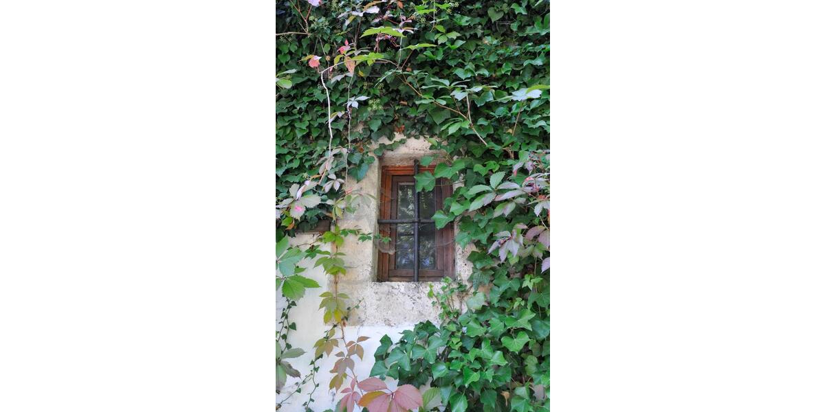 Einfamilienhaus München Altstadt-Lehel - 12 Zimmer, 650 m&sup2;, 1.750.000&euro; | Angebot:24256776