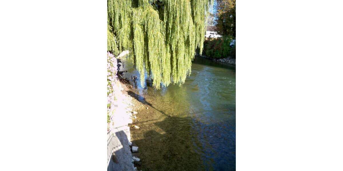 Mehrfamilienhaus, Wohnhaus Fürstenfeldbruck - 1.290.000&euro; | Angebot:25708207