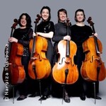 Imagine Dragons meets Taylor Swift