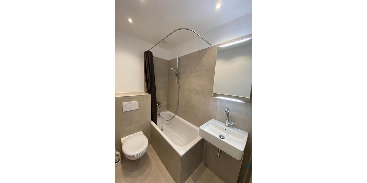 1- Zimmer Wohnung voll möbliert, Dachterrasse, renoviert 1 zimmer