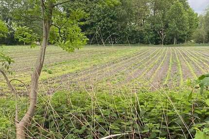 Spezialgewerbe in Ismaning 159.000 € zimmer