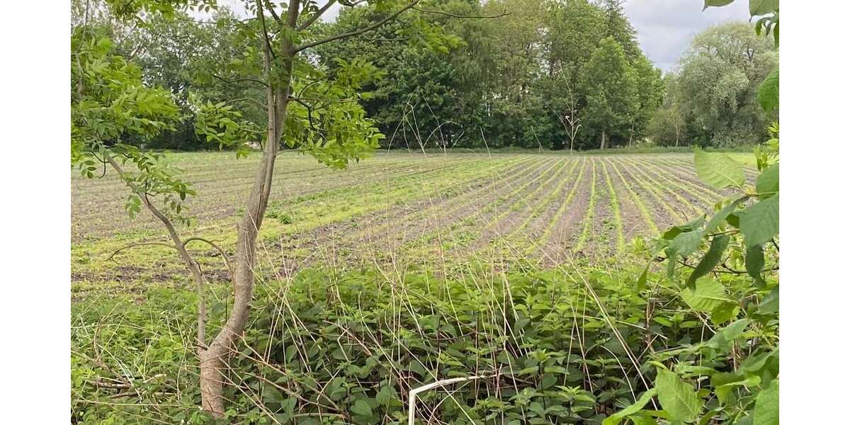 Spezialgewerbe in Ismaning 159.000 € zimmer