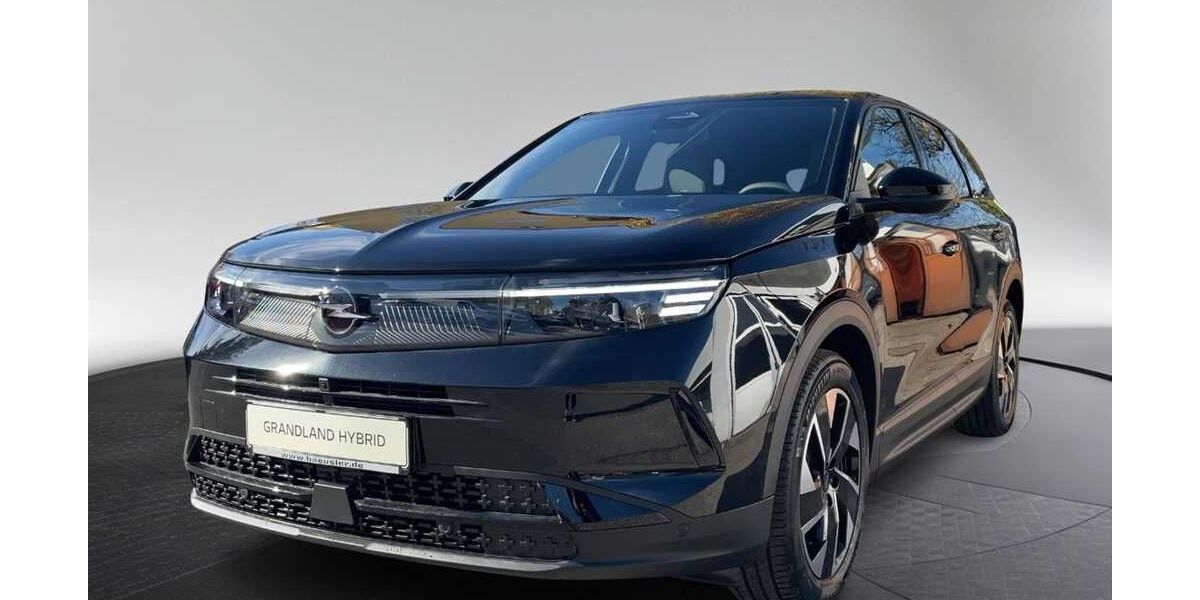 Opel Grandland (X) 16.500 km 28.490 &euro; München 81249