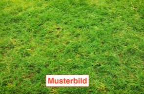 Grundstück München Pasing-Obermenzing - 1.650.000&euro; | Angebot:25268300