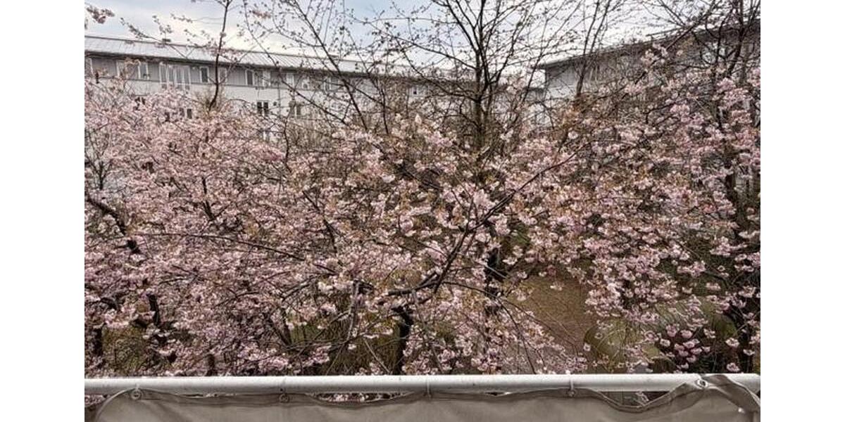 Etagenwohnung München Moosach - 1.5 Zimmer, 41 m&sup2;, 1.050&euro; | Angebot:26227345