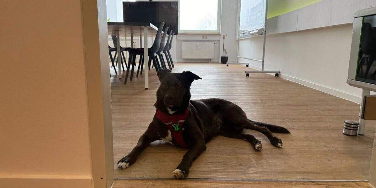 Gewerbeobjekt Garching bei München Hochbrück - 200&euro; | Angebot:25784138