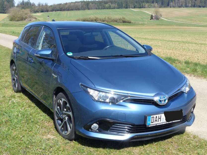 Auris