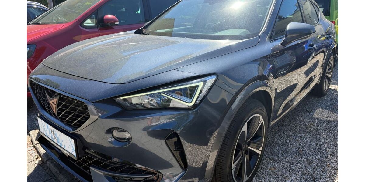 Cupra Formentor 101.269 km 21.099 &euro; München 81549