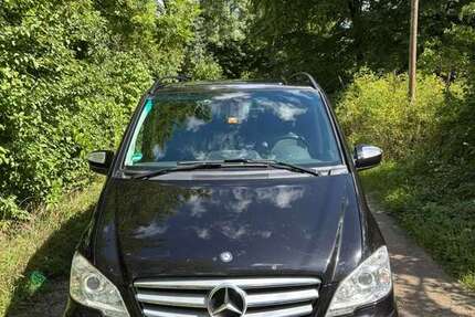 Mercedes Viano
