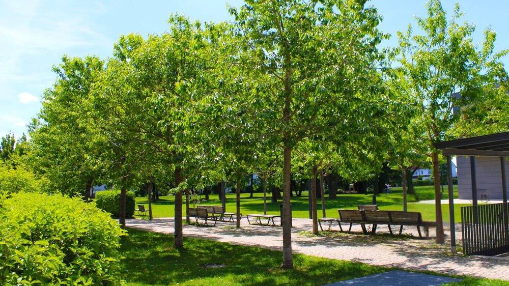 Einfamilienhaus Gilching Neugilching - 6 Zimmer, 190 m&sup2;, 1.425.000&euro; | Angebot:25744884