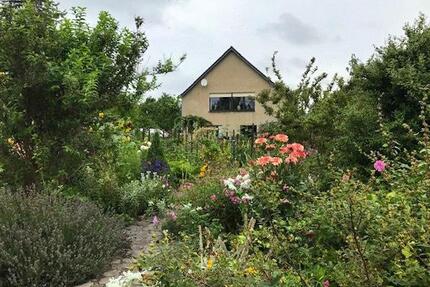 TORGAU wunderschönes Einfamilienhaus 5 zimmer