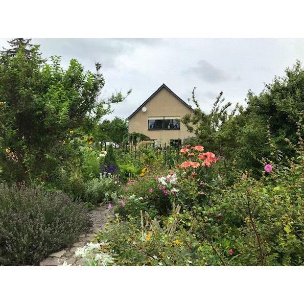 TORGAU wunderschönes Einfamilienhaus 5 zimmer