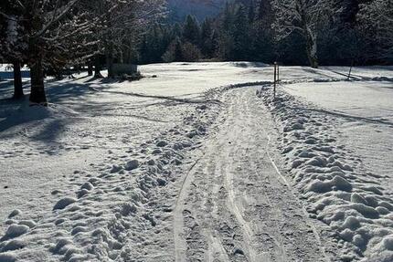 freie, renovierte, ruhige und elegante 2,5-Zimmer Whg.(Innenhof) 2.5 zimmer