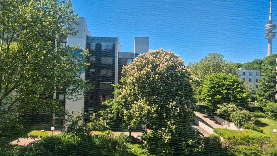 Etagenwohnung München Maxvorstadt - 1 Zimmer, 37 m&sup2;, 370.000&euro; | Angebot:25614214