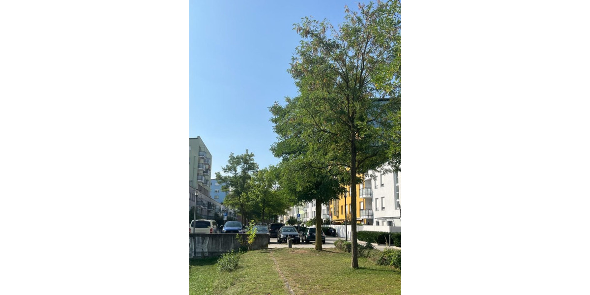 Helle 2-Zimmer Wohnung mit Balkon im 2. OG in München-Am Hart (Dülferstraße) - 5 Min zur U-Bahn U2 2 zimmer