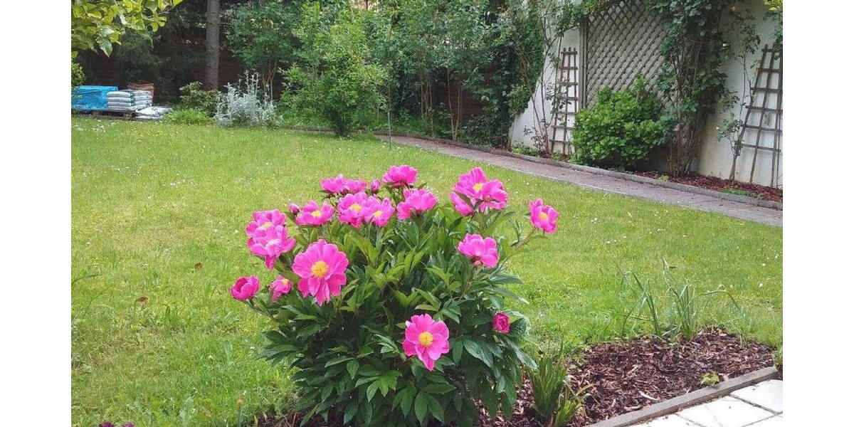 Etagenwohnung Zorneding bei München Zorneding - 2 Zimmer, 90 m&sup2;, 1.450&euro; | Angebot:26190428