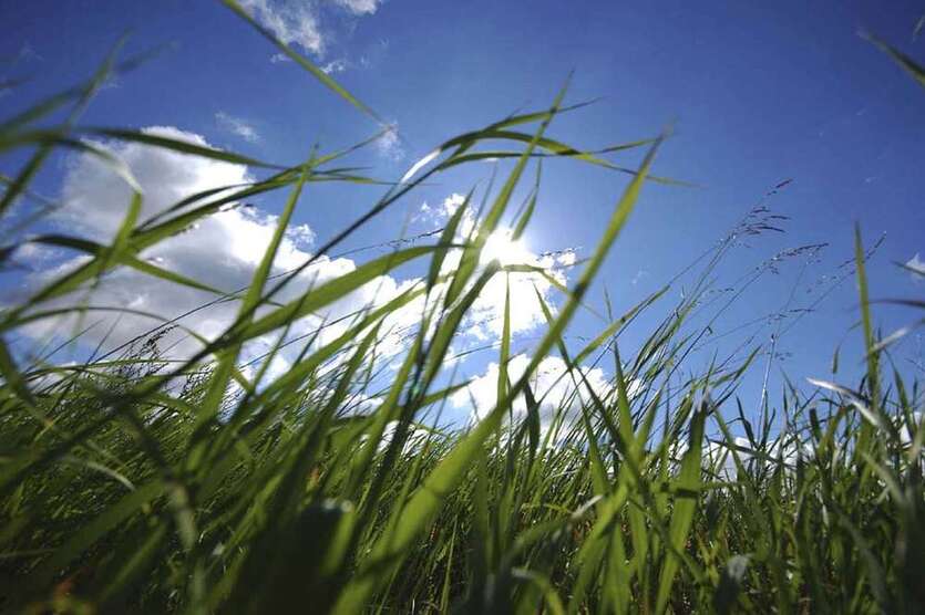Grundstück zu verkaufen in Feldafing 700.000 € 545 m²
