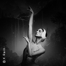 Grand Classic Ballet - Schwanensee - Jenseits der Bühne mit live Streichquartett 26.05.2026 Philharmonie im Gasteig