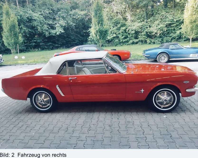 Mustang