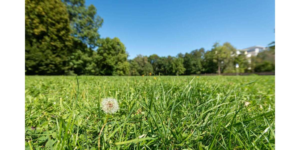 Grundstück München Sendling-Westpark - 2.100.000&euro; | Angebot:24246390