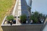 Einfamilienhaus München Berg am Laim - 4 Zimmer, 156 m&sup2;, 969.000&euro; | Angebot:26929252