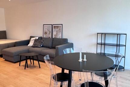 Erstbezug nach Renovierung: möblierte 49qm Whg. mit Balkon und TG 1 zimmer