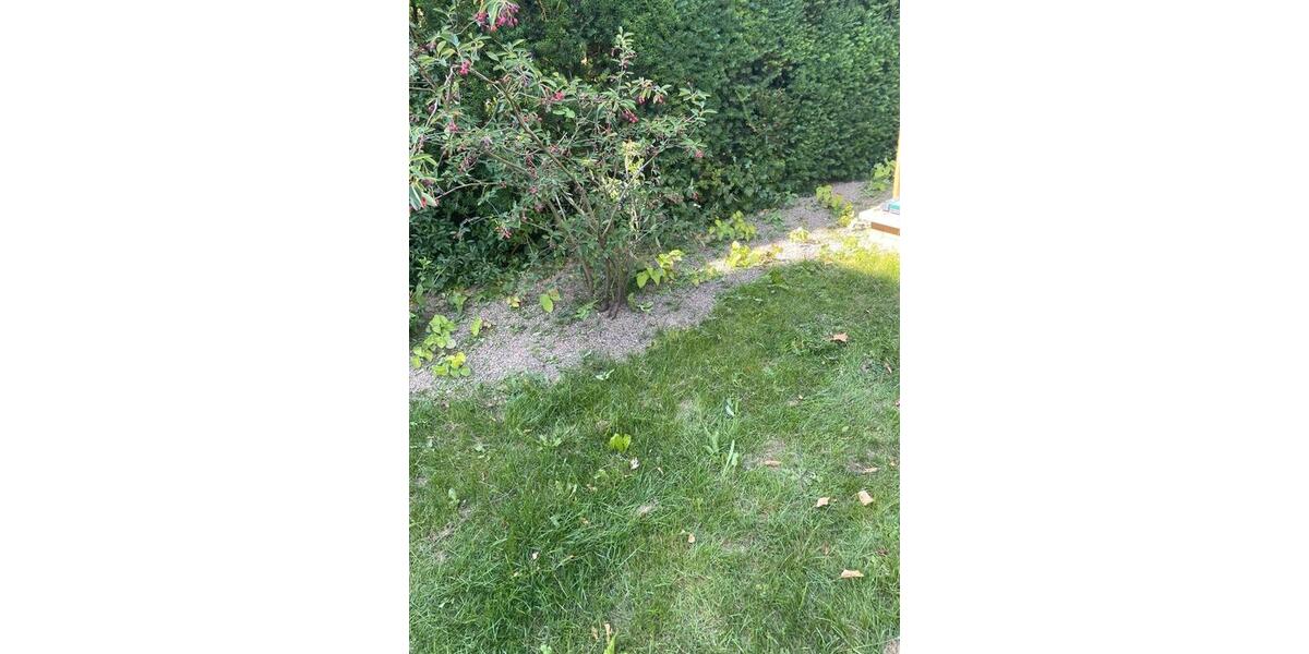 Charmantes Einfamilienhaus München Westkreutz 74 zimmer